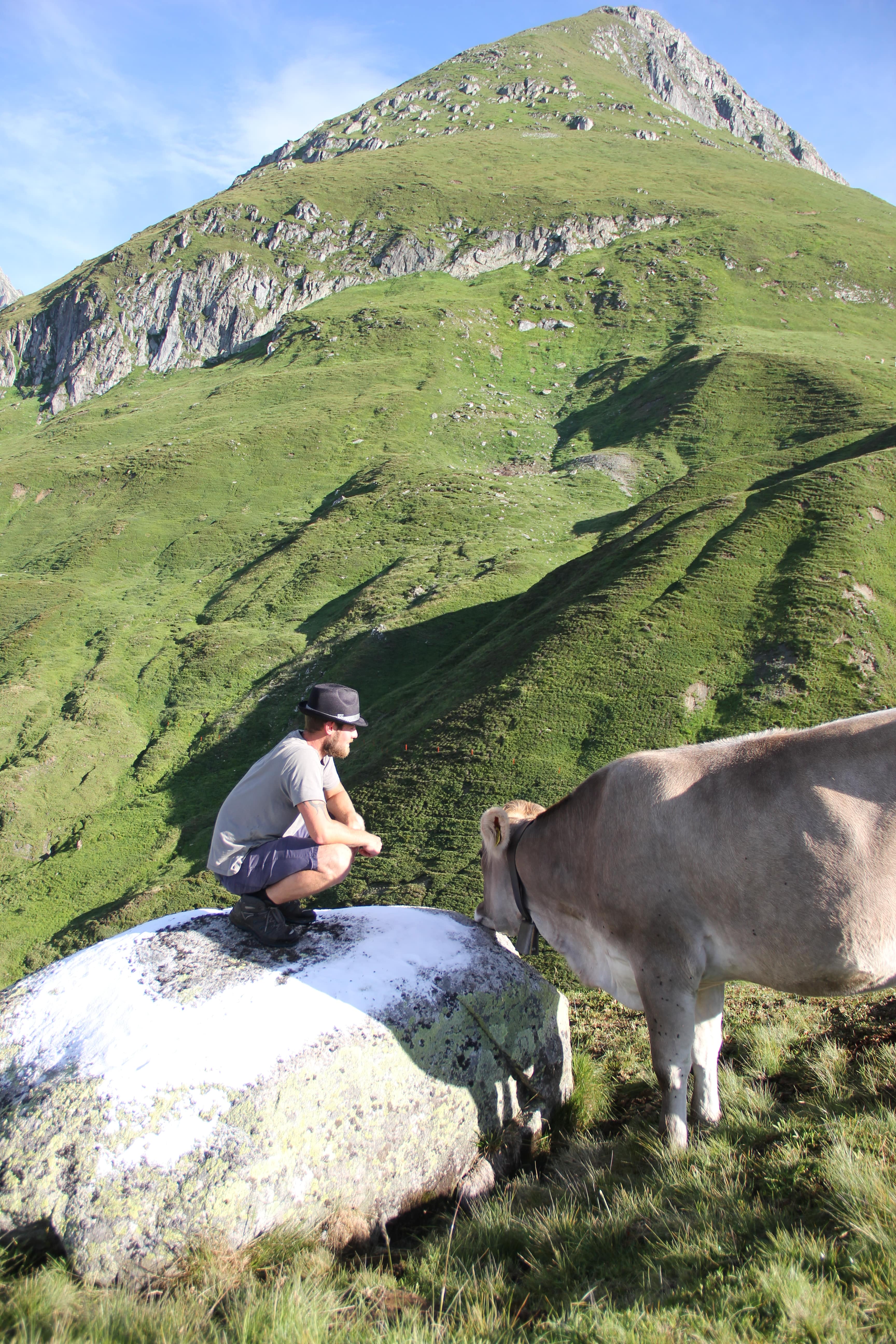 Bergbauer mit Kuh